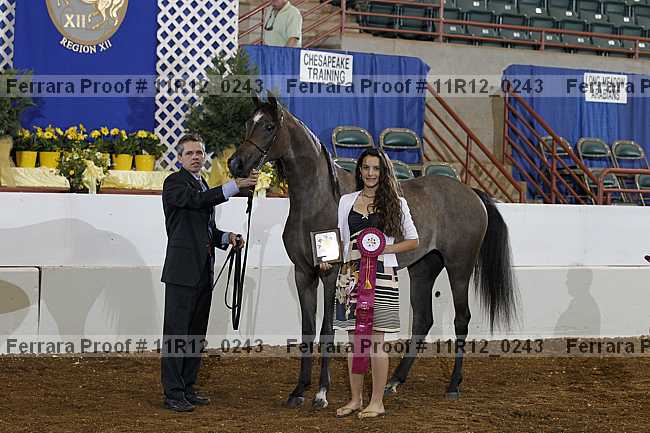 Proof 11r12_0243