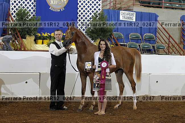 Proof 11r12_0247