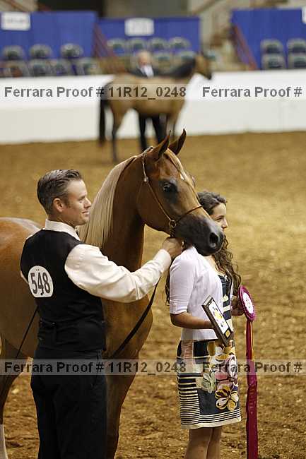 Proof 11r12_0248