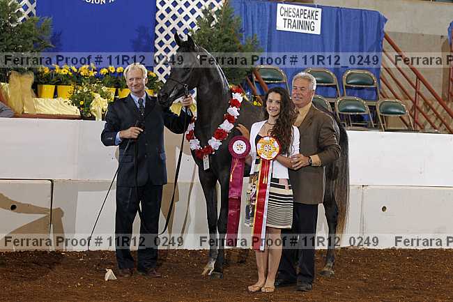Proof 11r12_0249