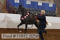 11r12_0254 proof