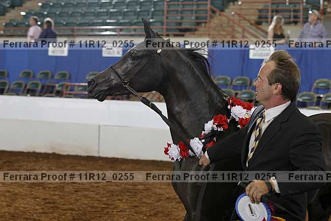 Proof 11r12_0255