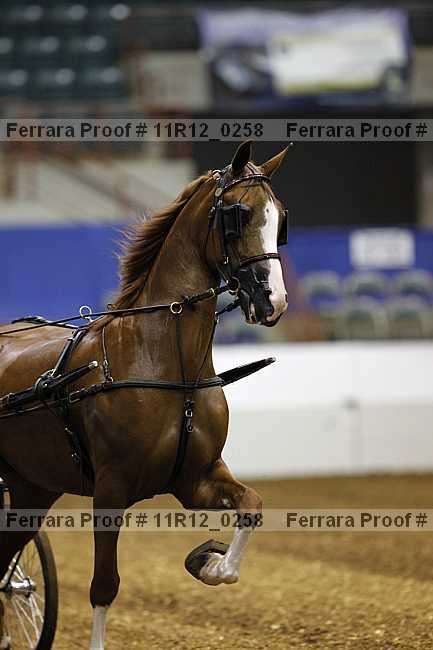 Proof 11r12_0258