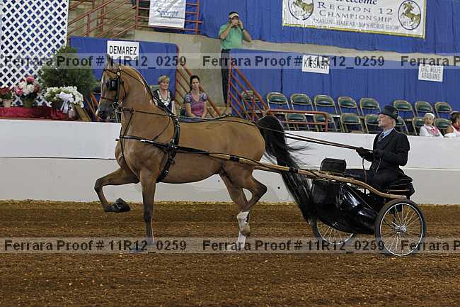 Proof 11r12_0259