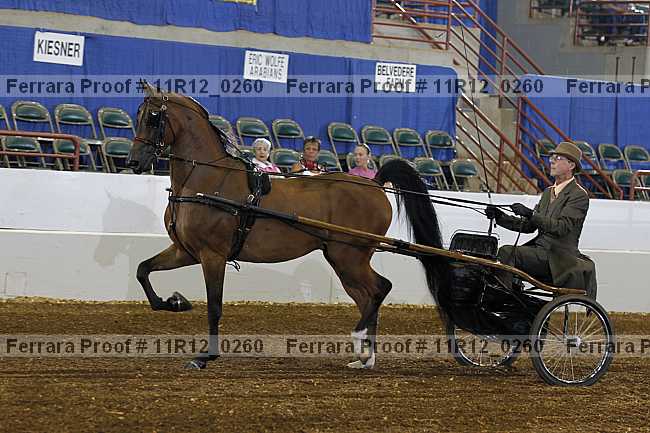 Proof 11r12_0260