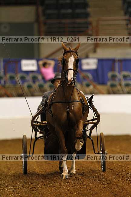 Proof 11r12_0261