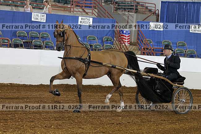 Proof 11r12_0262