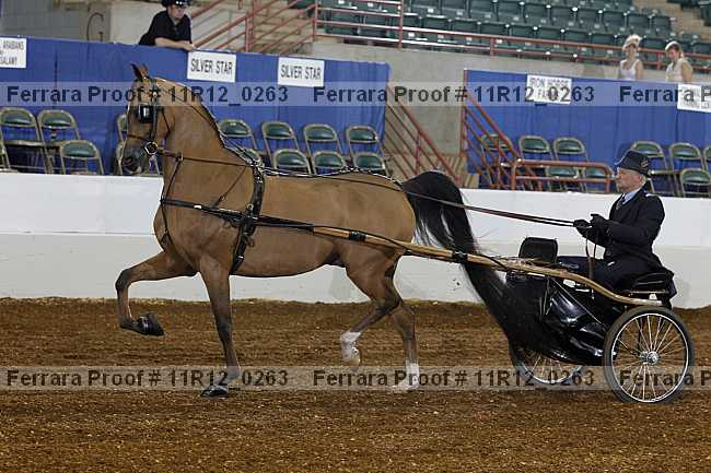 Proof 11r12_0263