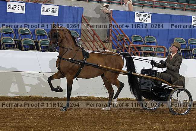 Proof 11r12_0264