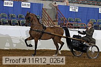 11r12_0264 proof