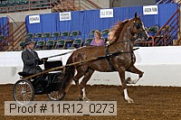 11r12_0273 proof