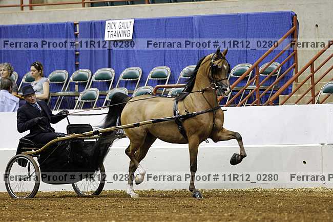 Proof 11r12_0280