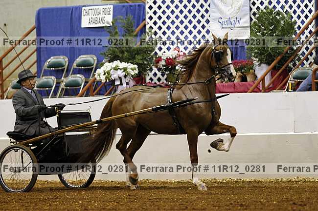 Proof 11r12_0281