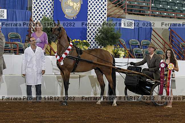 Proof 11r12_0282