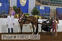 11r12_0283 proof