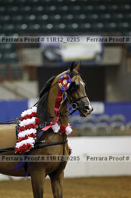 Proof 11r12_0285