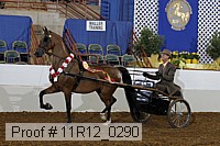 11r12_0290 proof