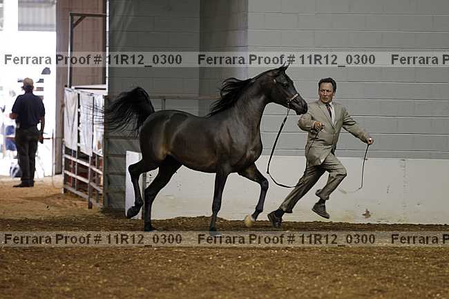 Proof 11r12_0300