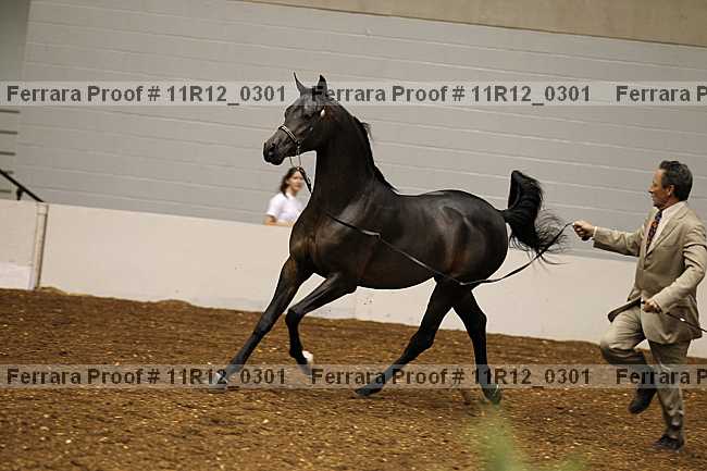 Proof 11r12_0301