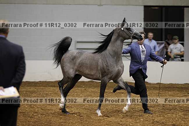 Proof 11r12_0302