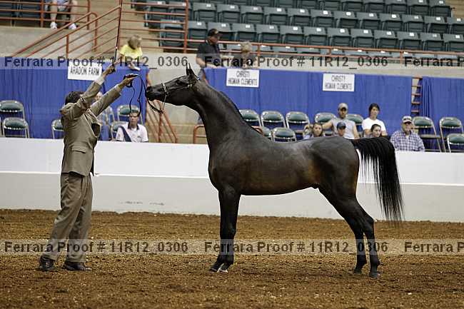 Proof 11r12_0306