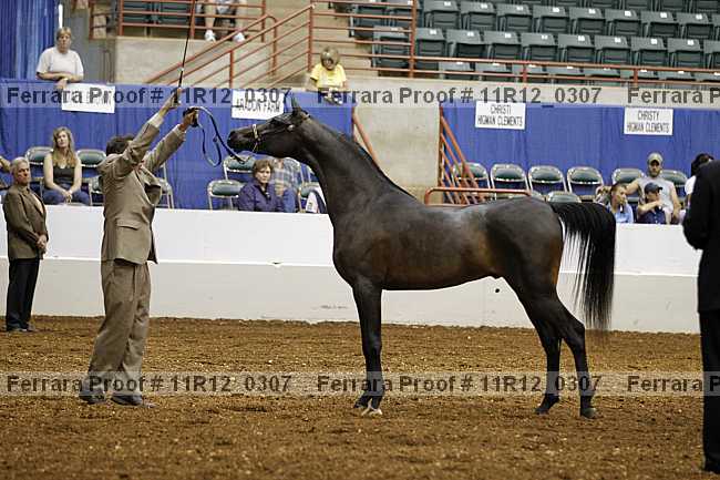 Proof 11r12_0307