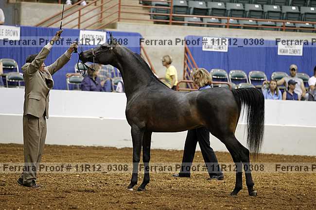 Proof 11r12_0308
