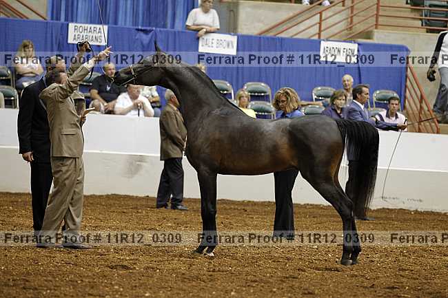 Proof 11r12_0309