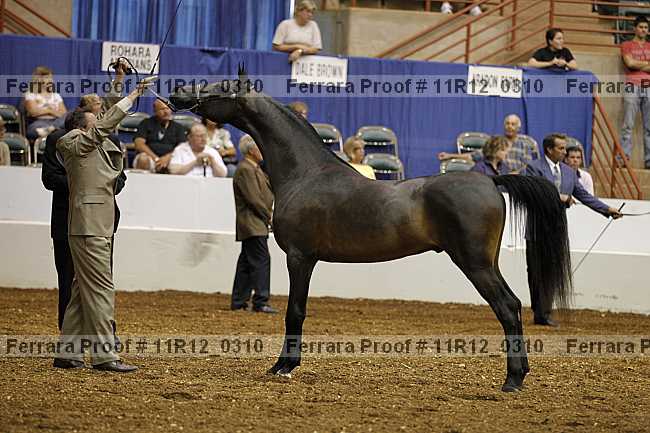 Proof 11r12_0310