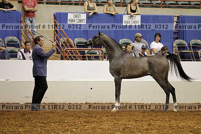 Proof 11r12_0312