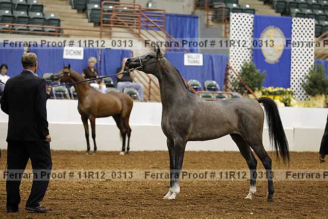 Proof 11r12_0313
