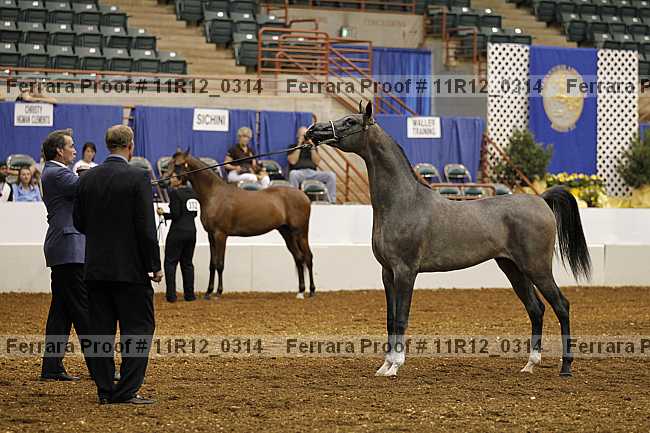 Proof 11r12_0314
