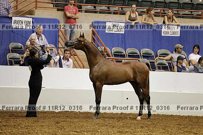 Proof 11r12_0316