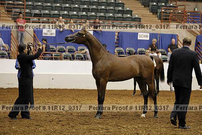 Proof 11r12_0317