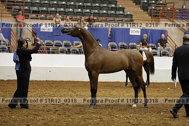 Proof 11r12_0318