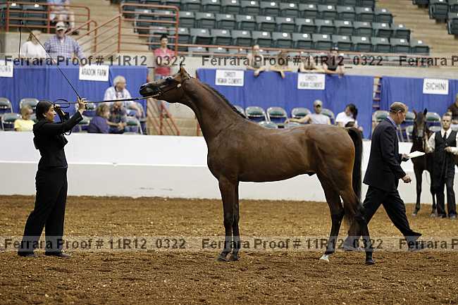 Proof 11r12_0322