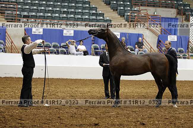 Proof 11r12_0323