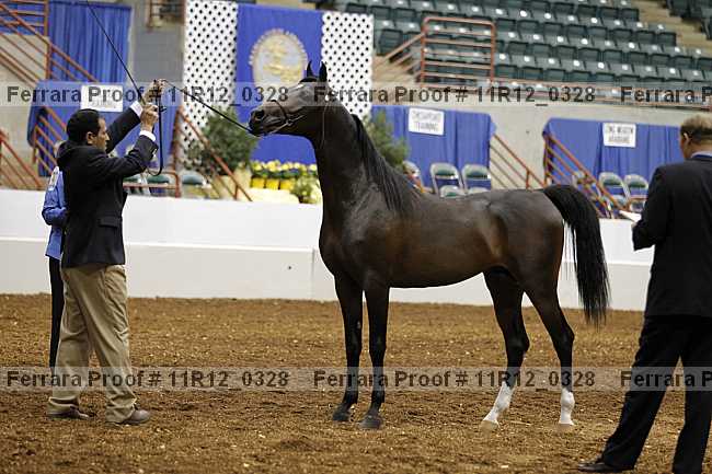 Proof 11r12_0328
