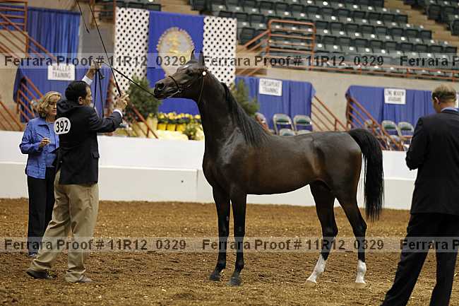 Proof 11r12_0329