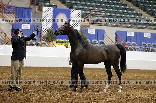 Proof 11r12_0330