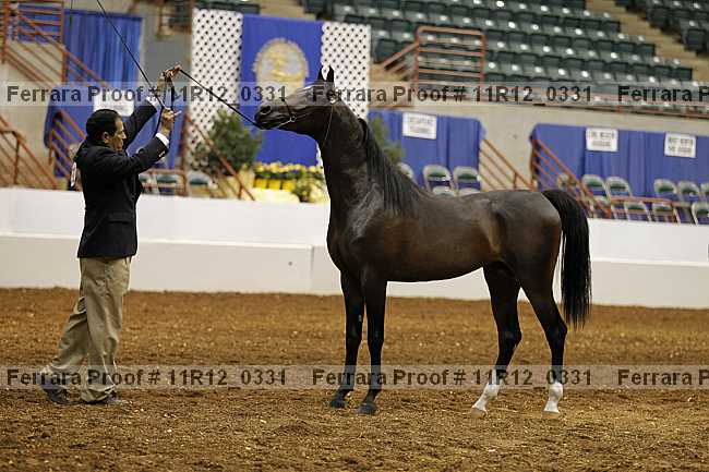 Proof 11r12_0331
