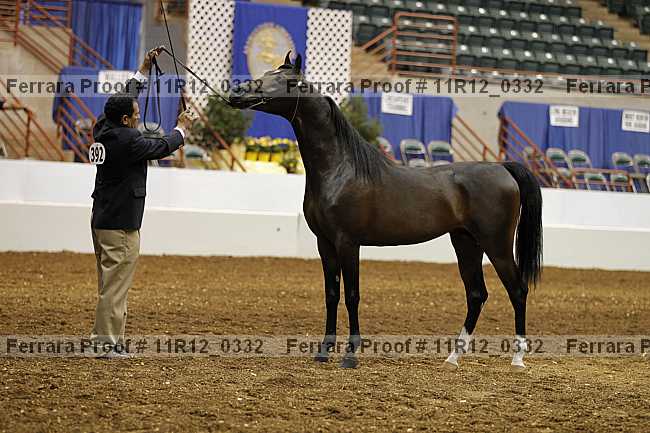 Proof 11r12_0332