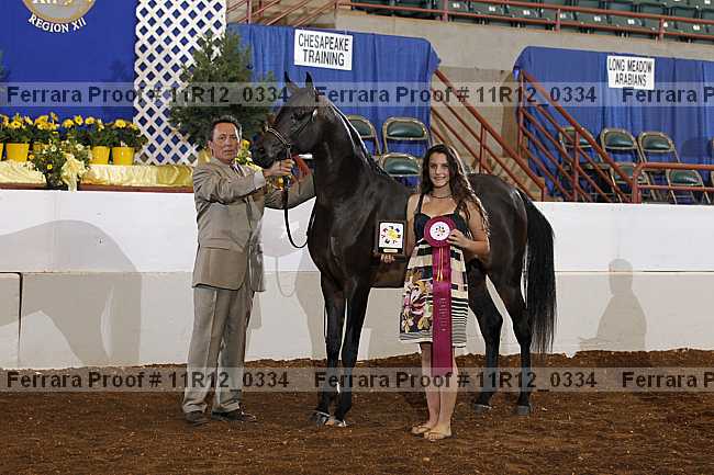 Proof 11r12_0334