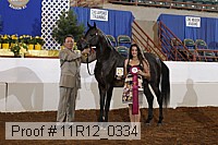 11r12_0334 proof
