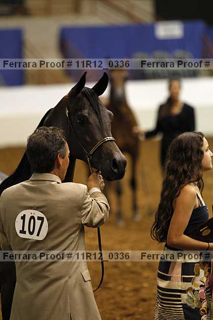 Proof 11r12_0336
