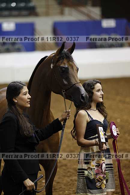 Proof 11r12_0337