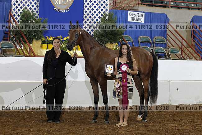 Proof 11r12_0338