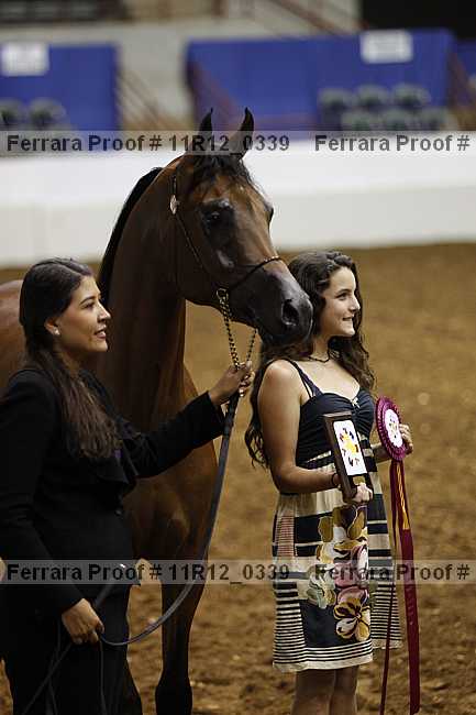 Proof 11r12_0339