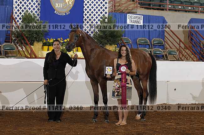 Proof 11r12_0340