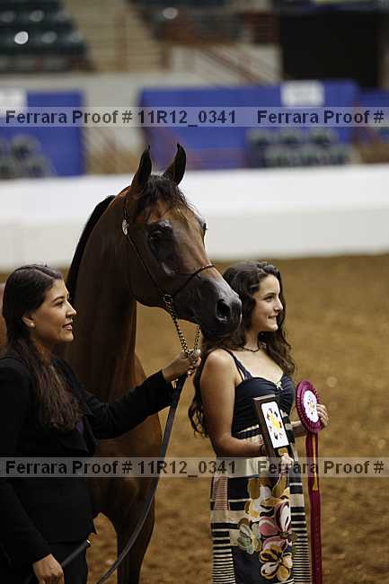 Proof 11r12_0341